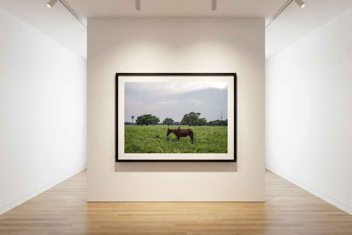 lensible-mockup-b4b57a07-09dd-4335-8a78-d6d6c963f501.png