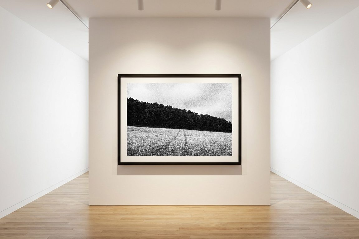 lensible-mockup-b634cb85-b7e1-4217-9c55-59f4e7b11033.png