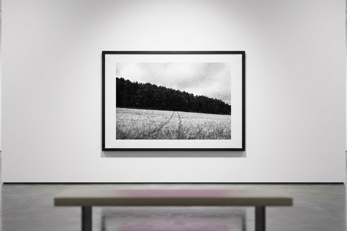 lensible-mockup-381fc322-7fe1-4b27-8630-df8517e2eaff.png