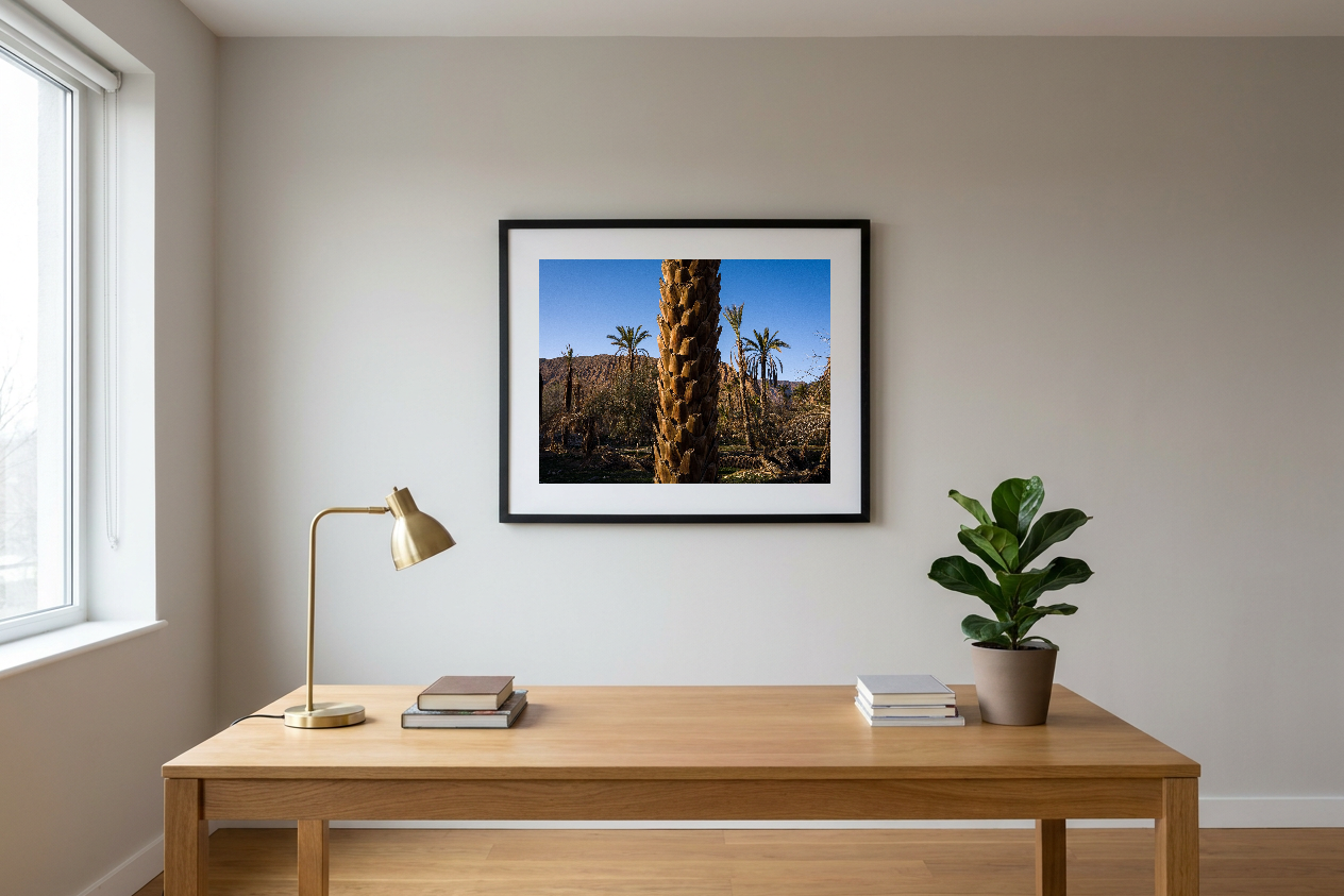 lensible-mockup-98d08855-c24f-4833-9b14-fd28abc9150b.png