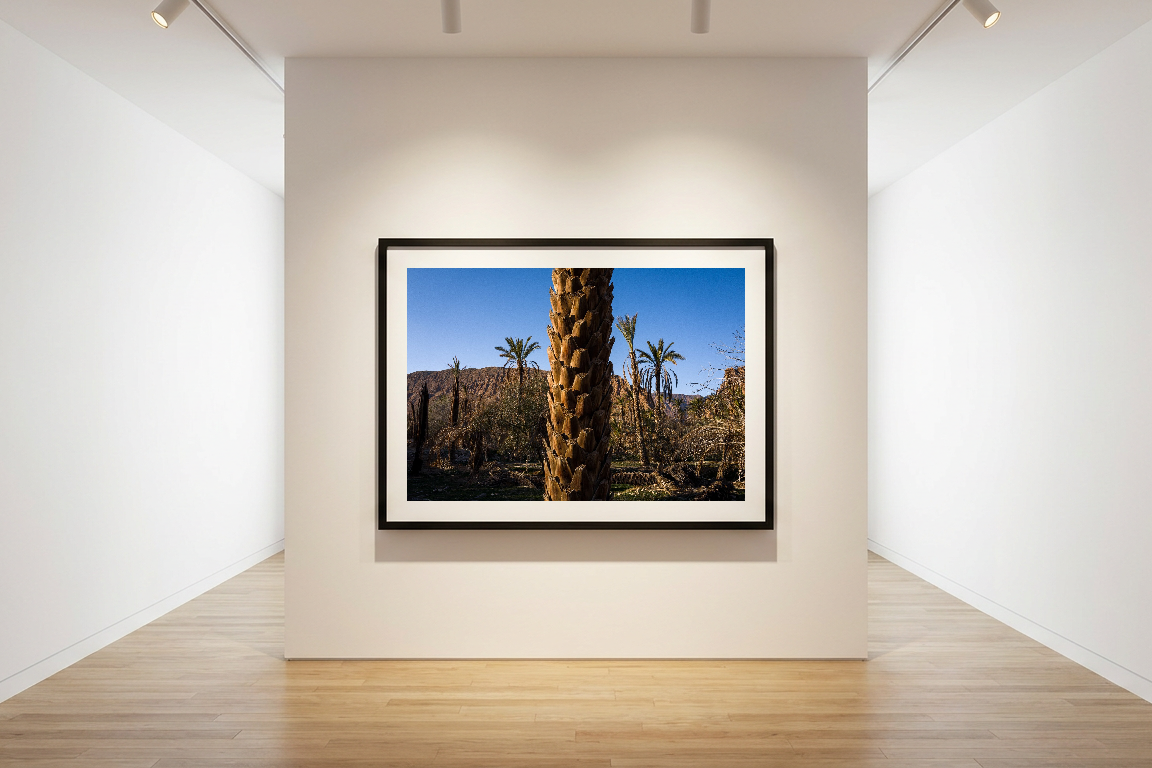 lensible-mockup-e6db269b-b79f-4127-b017-d60f54a4cdde.png
