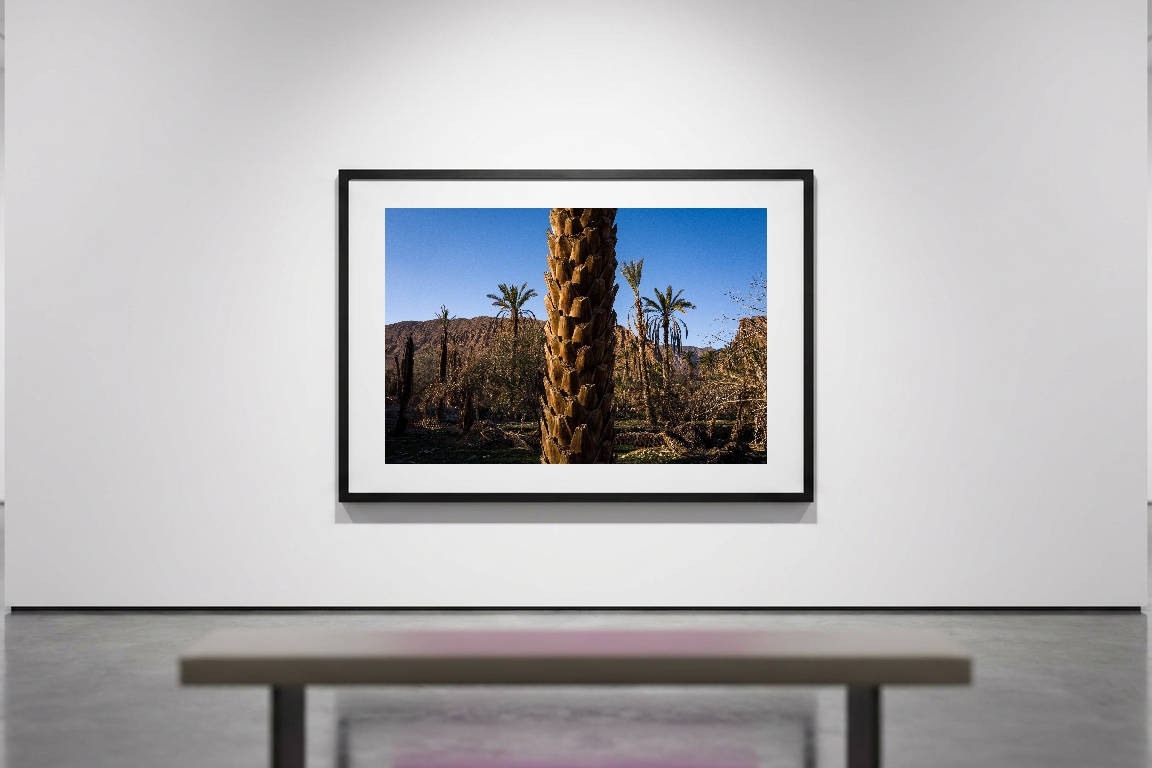 lensible-mockup-247b98c6-f88a-4edb-bec2-37ff354d0ea4.png