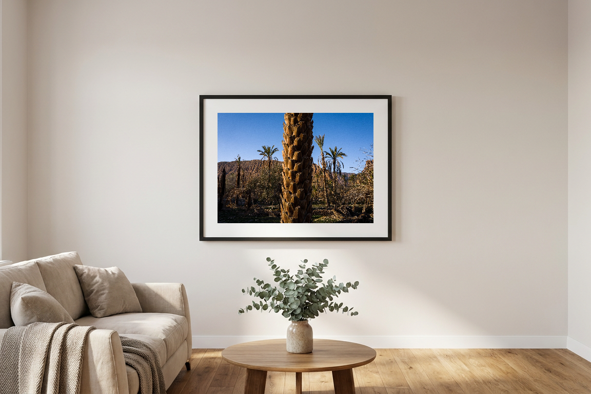 lensible-mockup-70bddf9c-2dd8-4990-ac2b-e56d1bda7f39.png