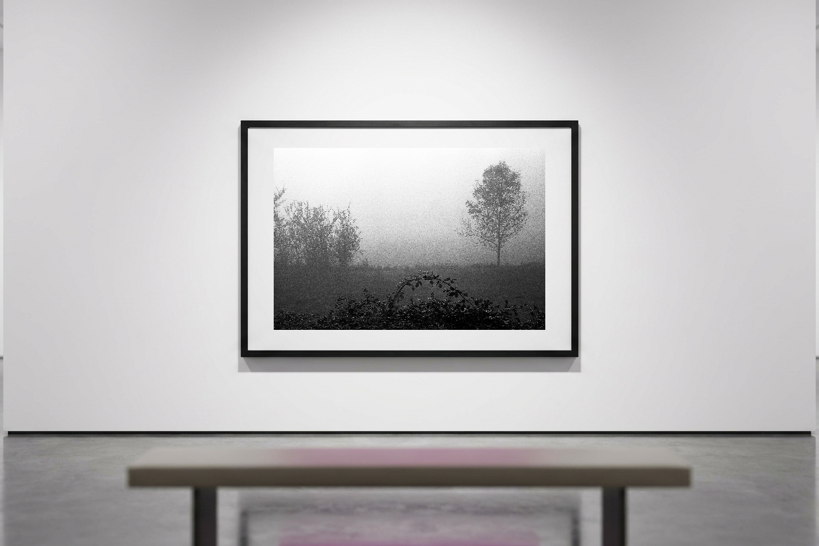 lensible-mockup-ed01f4cb-f7c5-4407-a6a7-a14f4eb5fcbb.png