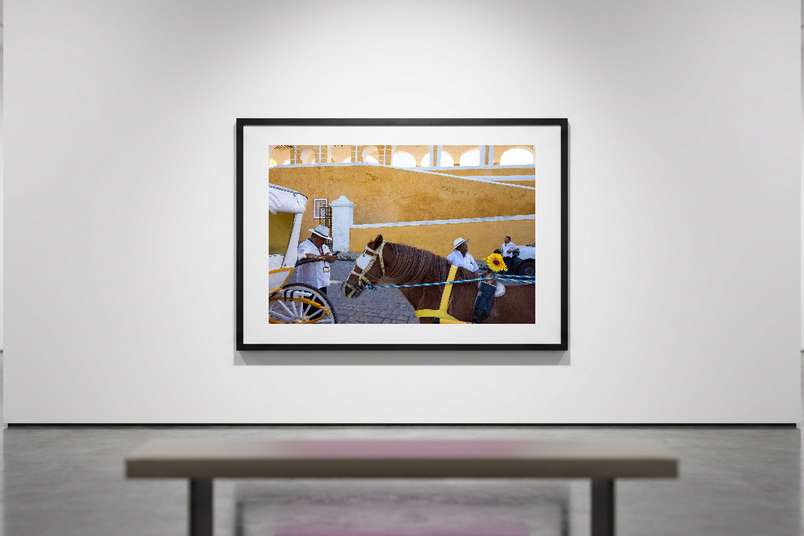 lensible-mockup-202ea60e-e431-41d5-ae40-2a76dc6153bf.png