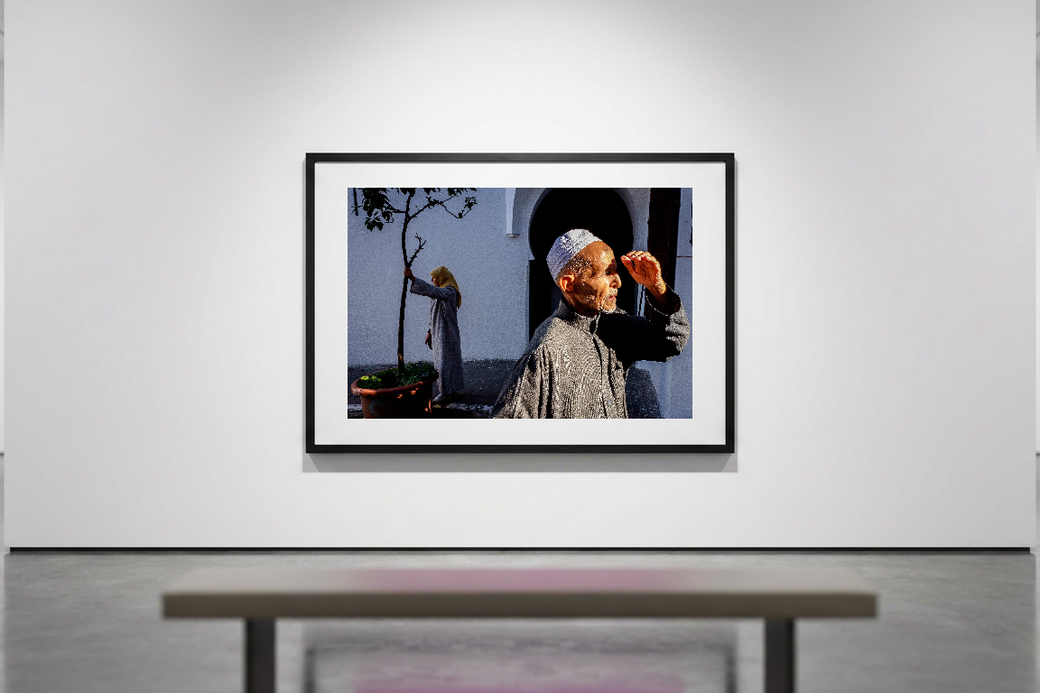 lensible-mockup-7cbde129-9e28-4fbe-9008-16aa29e1b77d.png