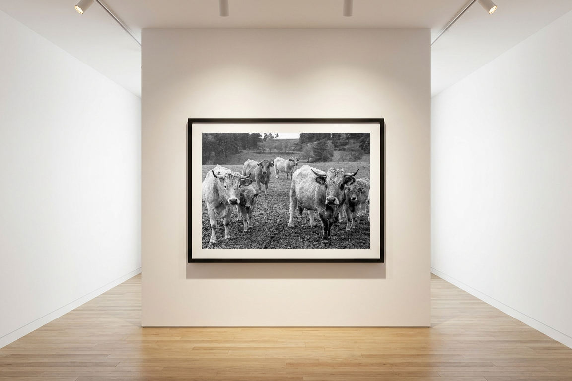 lensible-mockup-e63db391-f312-4fb4-8a6f-0e3771db37f0.png