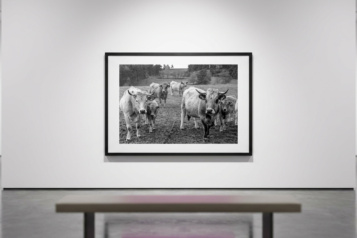 lensible-mockup-e6871905-d1eb-42cc-a990-49607f875be4.png
