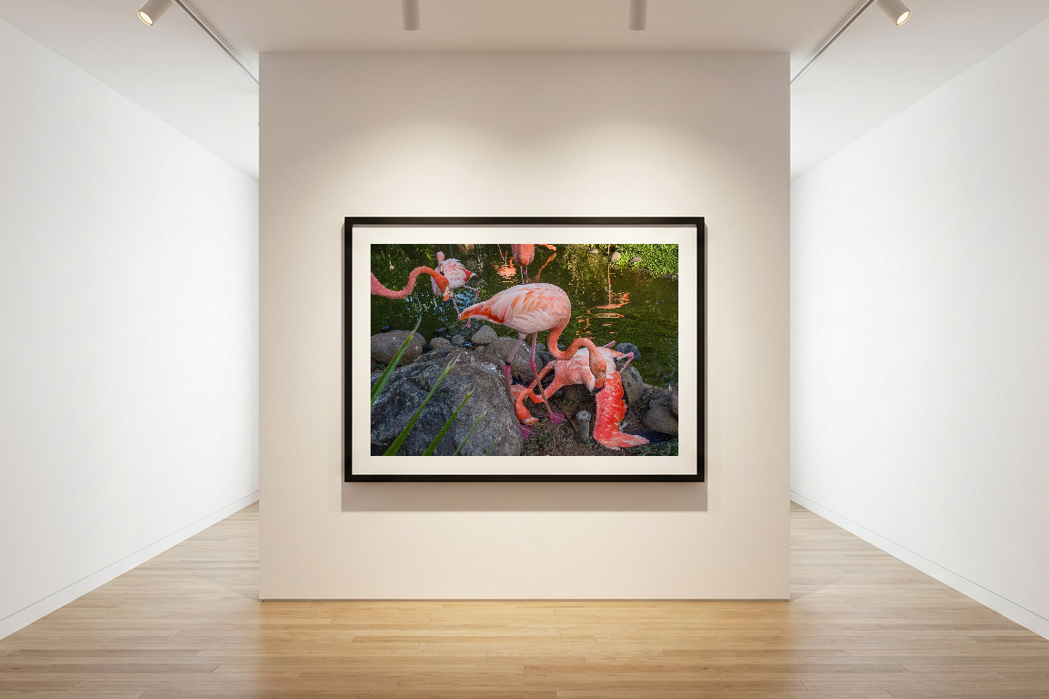 lensible-mockup-24d5b0a4-66e4-4a5f-be2f-a099334b495e.png