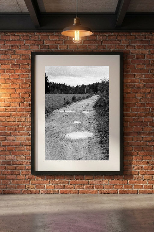 lensible-mockup-4299a079-0f41-42f3-bace-fe6b5213b88e.png
