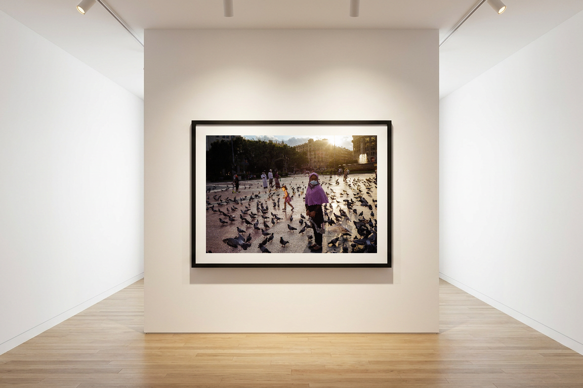 lensible-mockup-5bb2539c-e0cf-4fe8-98b1-bda4b626b253.png
