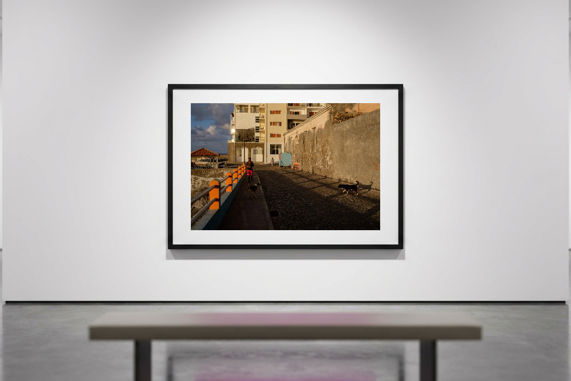 lensible-mockup-ee3e4f05-b356-46d0-b269-1c4ca46c10be.png