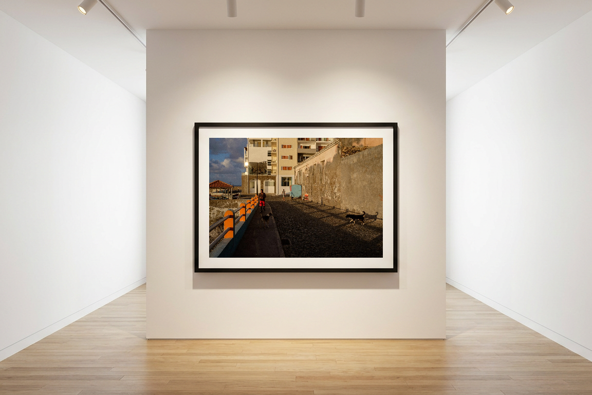 lensible-mockup-0712e38e-39c5-46e5-8b61-1c00ea64c9f2.png