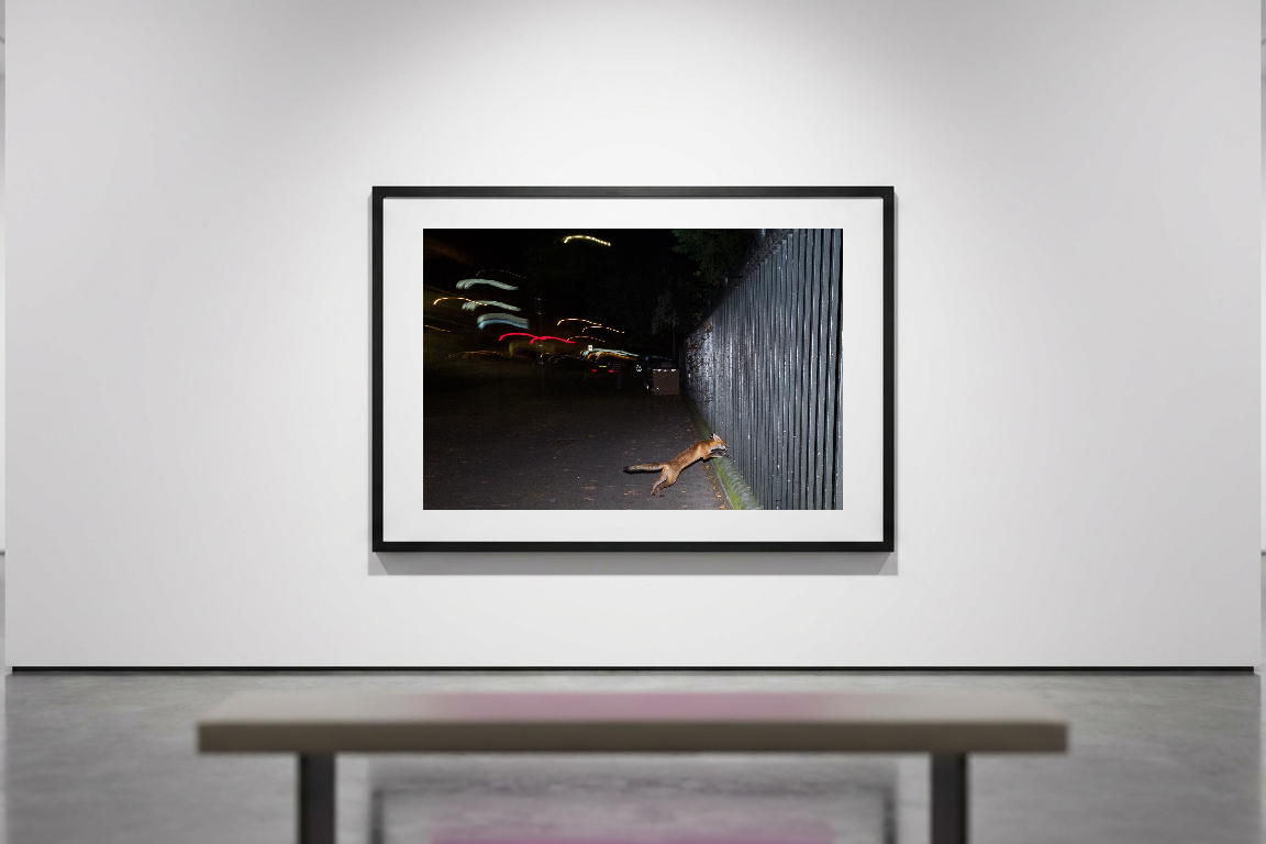 lensible-mockup-af71ee05-0d9c-4b68-8bdb-158a9f592399.png