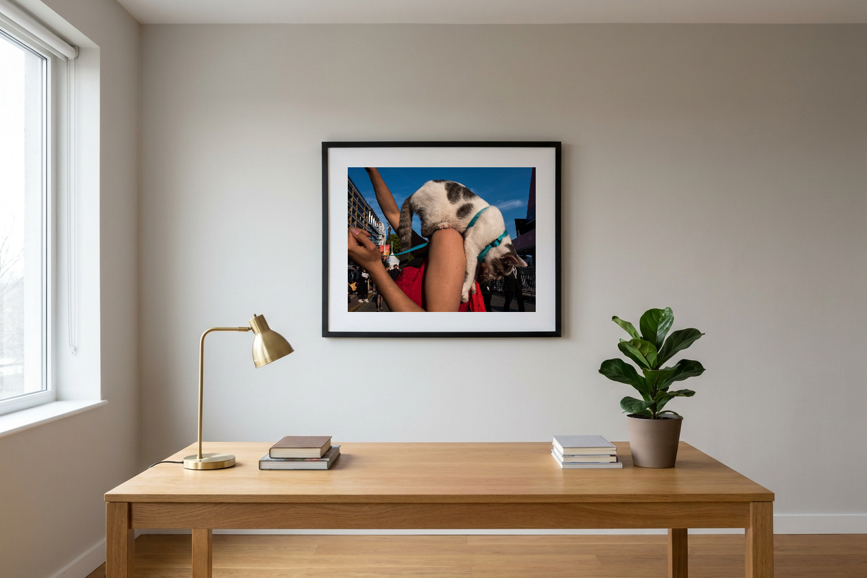 lensible-mockup-99884fcd-c08f-47d0-b001-48d66b621c87.png