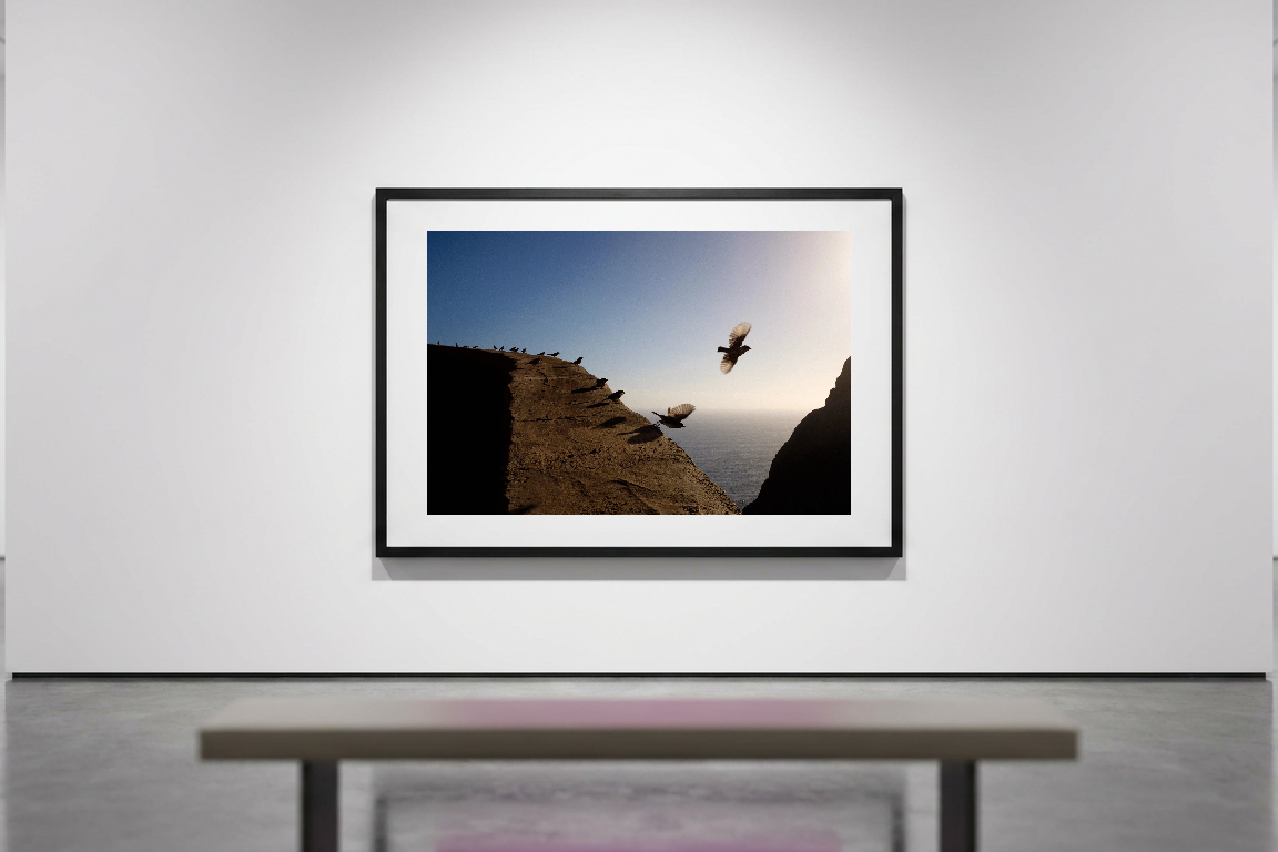 lensible-mockup-60dfced1-5771-4066-9aaf-6a28359af279.png