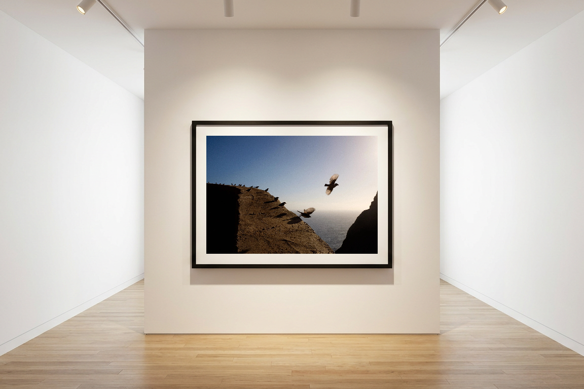 lensible-mockup-8447151b-e354-4010-9a90-0f13e82ad943.png