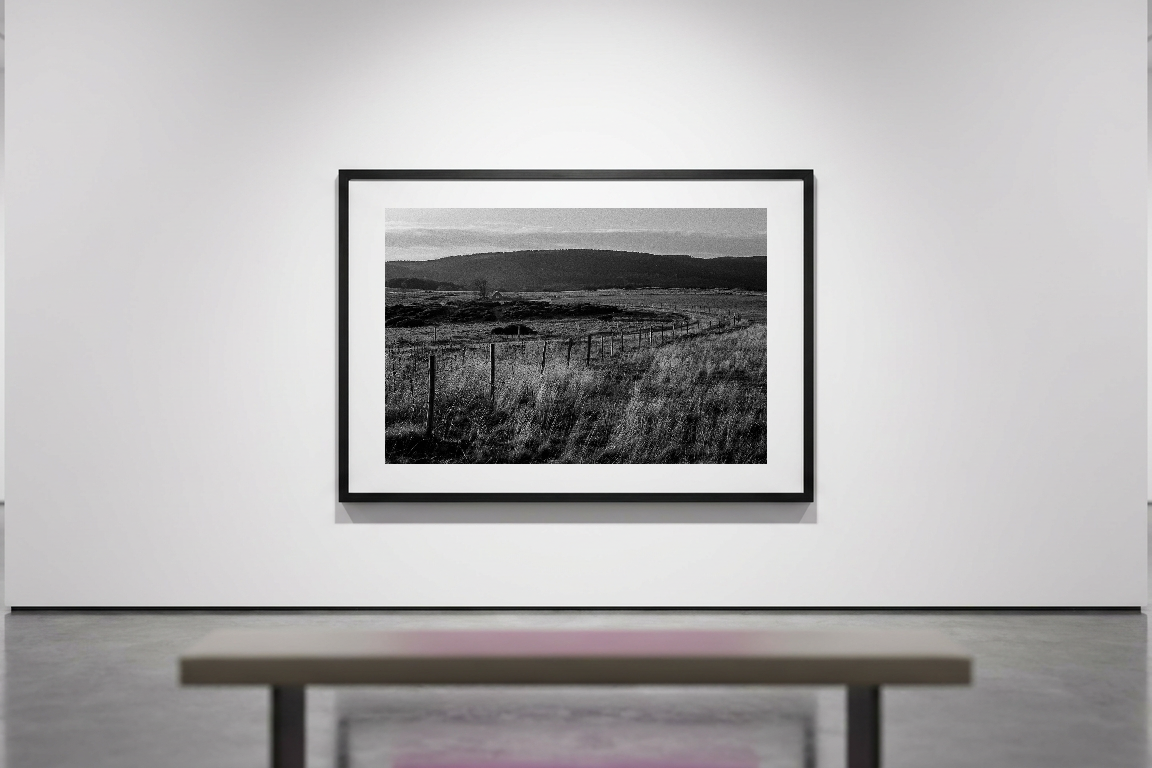 lensible-mockup-0ddecc66-1a1d-43f3-b679-cc5a46c40d07.png
