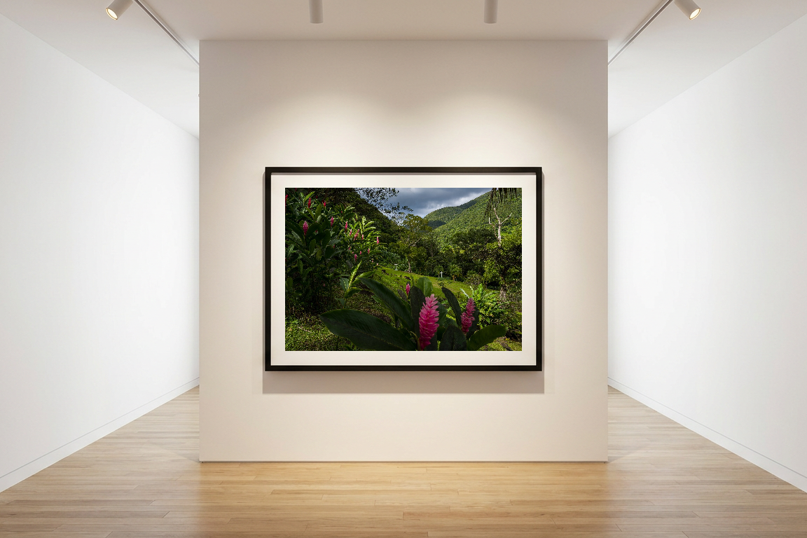 lensible-mockup-e9708ac0-2472-4c22-8640-a7fbf712d89b.png