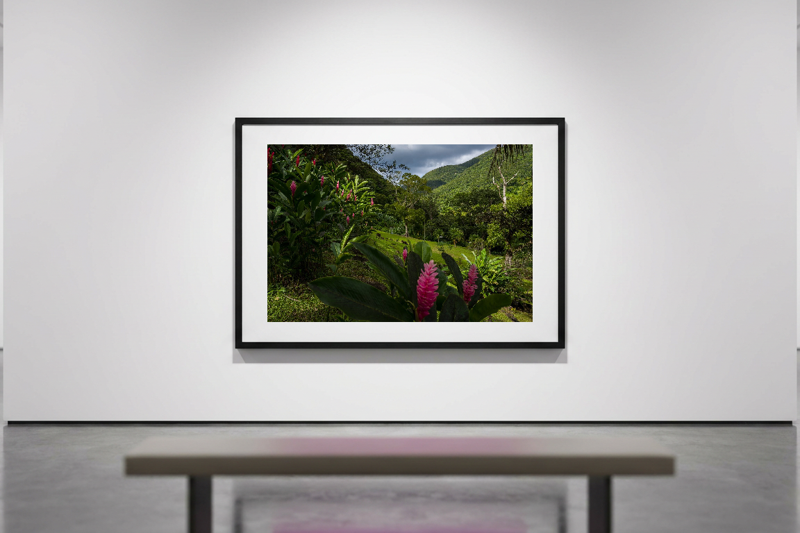 lensible-mockup-bd2d4ade-3208-4710-9c01-45664386cad1.png
