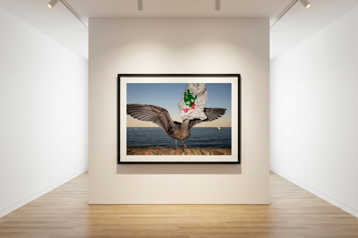 lensible-mockup-60a1677e-c40a-47fe-9453-6edb75760191.png