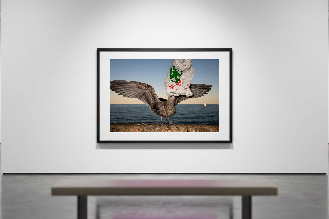 lensible-mockup-619255fe-c6d7-4425-9a7c-413c1364d62f.png