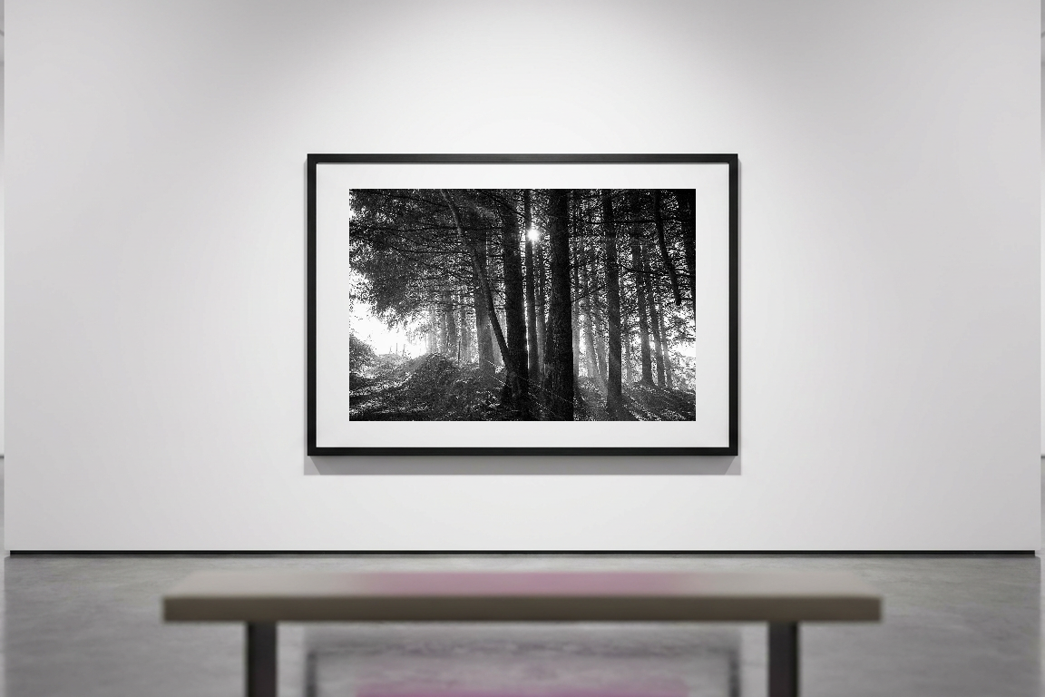 lensible-mockup-46f50929-0739-4b1d-bd2a-048b1f5aa891.png
