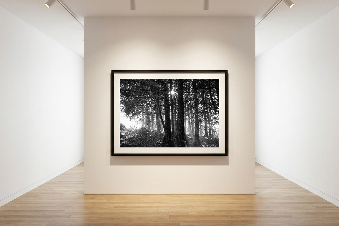 lensible-mockup-76f075fa-6842-4e38-8d32-79adf7be43ea.png