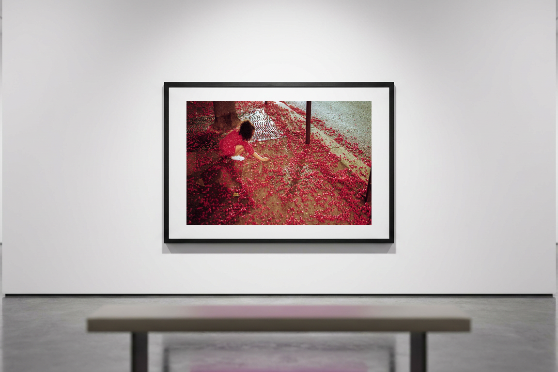 lensible-mockup-ec409a25-898a-456a-b9e1-e89805f6acdb.png