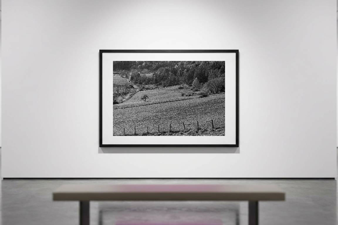 lensible-mockup-dfd989f0-867d-48bc-a3d0-6b923eb8b568.png