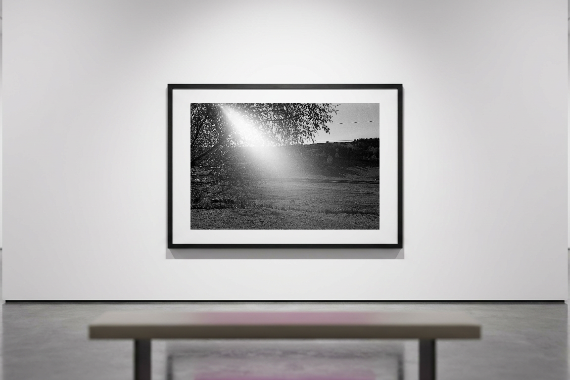 lensible-mockup-581522ae-14f3-4404-9e3e-078adb5904d9.png