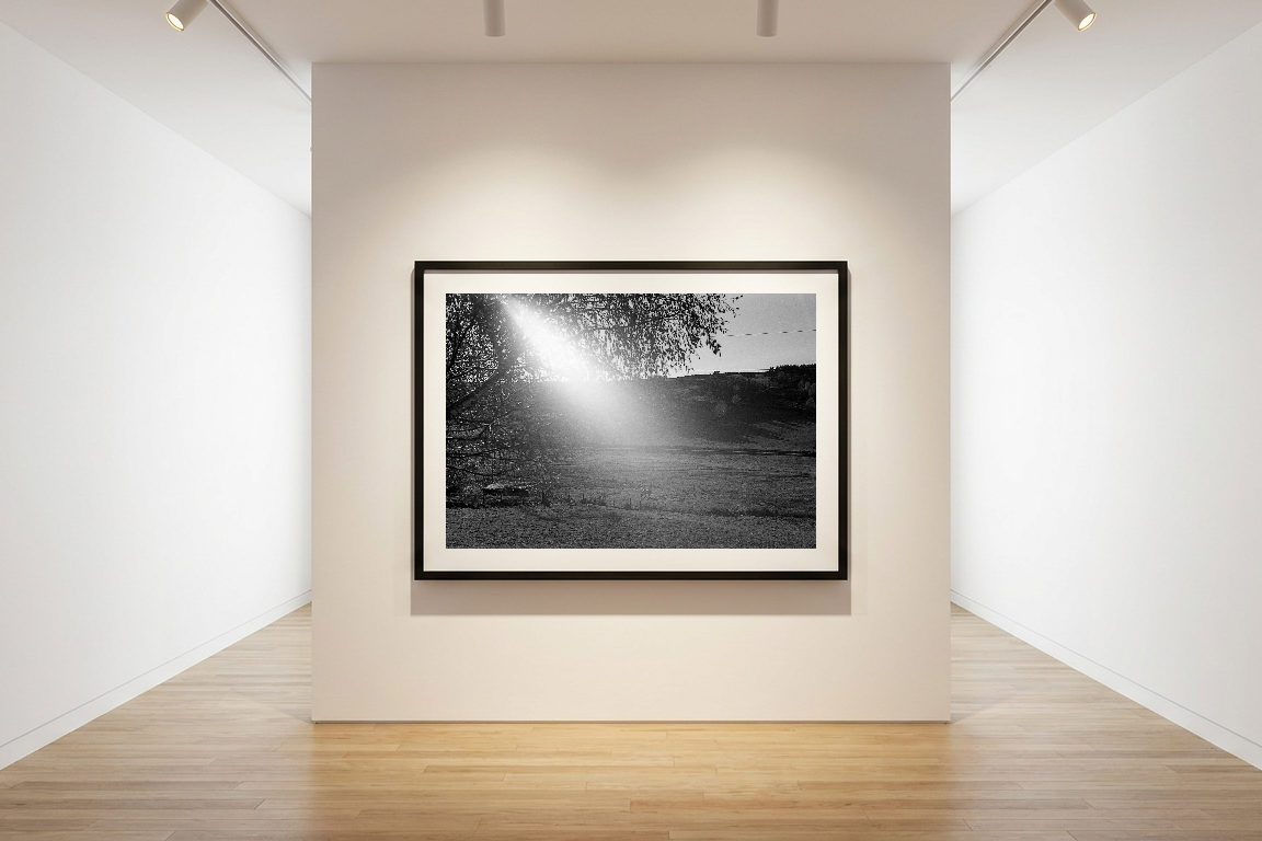 lensible-mockup-f6800d38-ffb4-435d-8623-978f94d49bd4.png