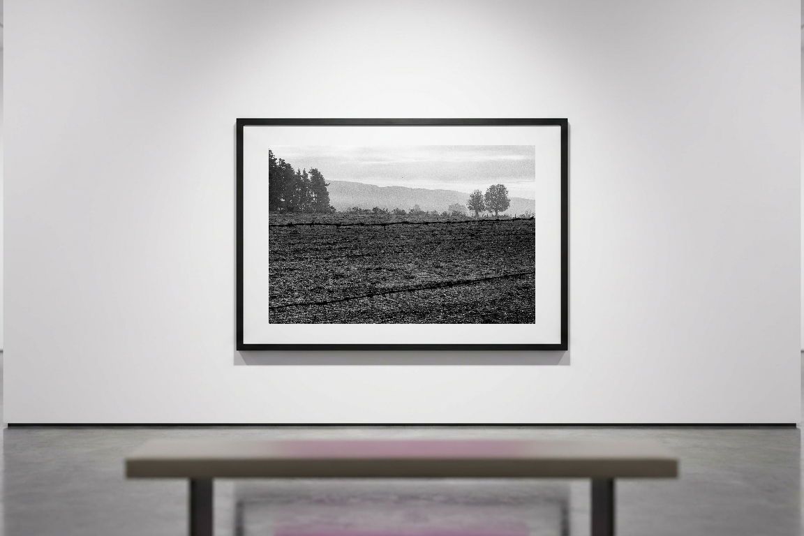 lensible-mockup-436dac6e-7748-4dde-8f88-b9c7b0b131e6.png