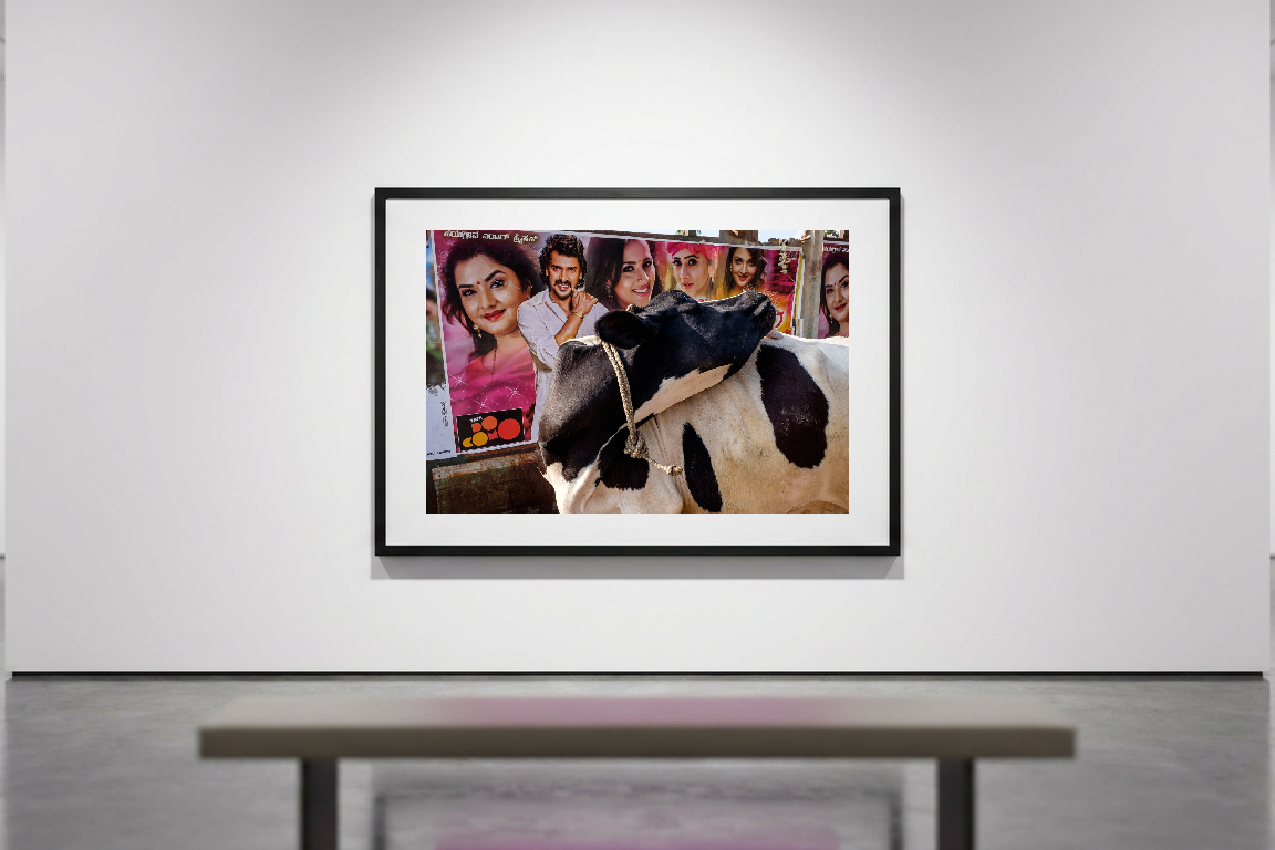 lensible-mockup-243735ee-6f53-4166-9349-f6c10b95d81f.png