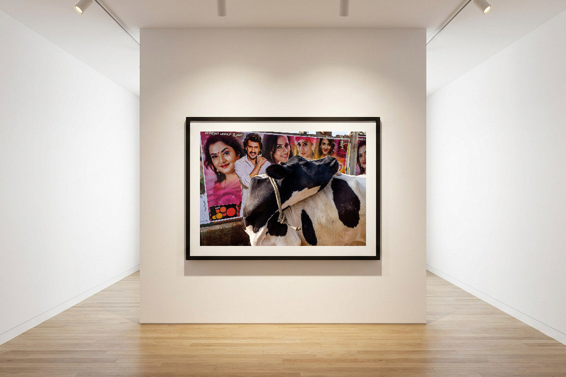 A framed photograph of a black and white cow in front of movie posters hangs on a white gallery wall with track lighting and a light wood floor.