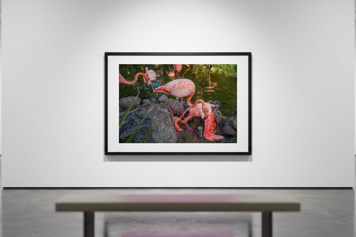 lensible-mockup-3a5e5946-a729-4815-b2b5-855f7a46b626.png