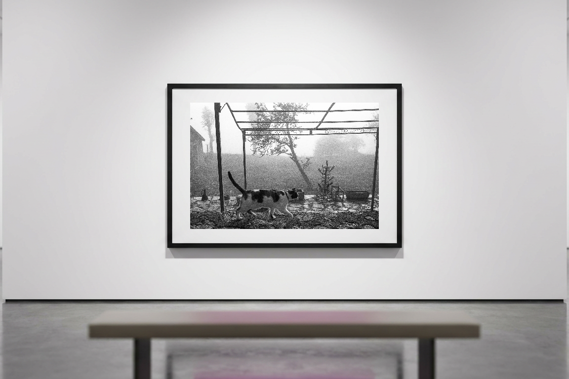 lensible-mockup-acf7afb1-3cb0-4ce8-9f53-532a87ca5025.png