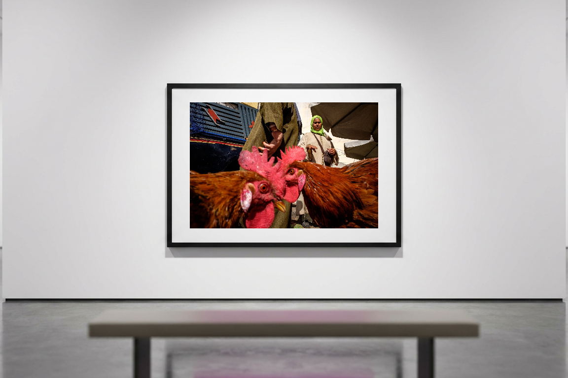 lensible-mockup-128df65d-99a7-4889-8c31-2d9c0fd487ec.png