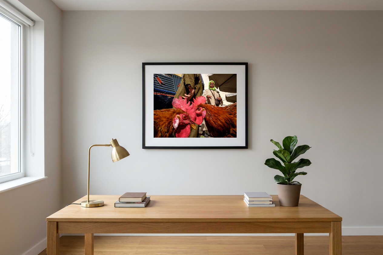 lensible-mockup-628bf40e-f194-406d-be84-472bc2f535c2.png