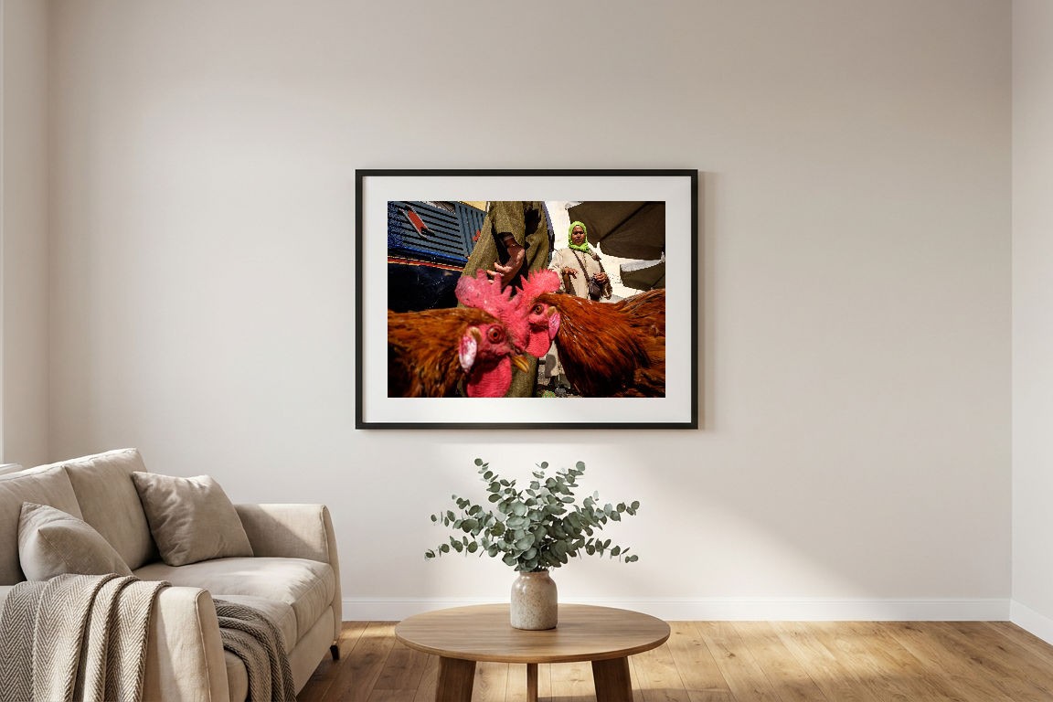 lensible-mockup-c638bd8b-76b0-437a-8838-57fddc0661a9.png