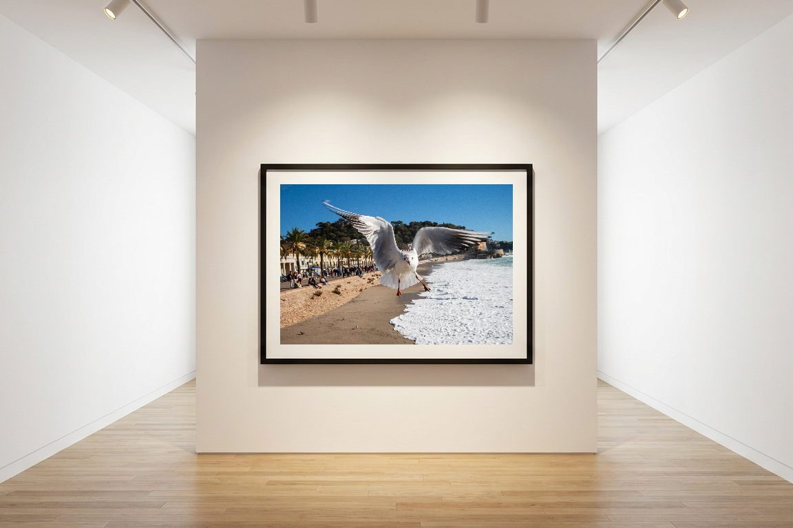 lensible-mockup-3c941e95-44f5-4d29-bfdd-aea4bd5ece6e.png