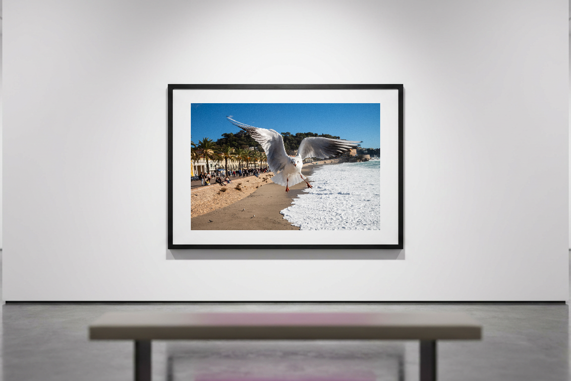 A framed photograph of a white seagull with spread wings flying over a sandy beach. Waves crash on the shore, with palm trees and buildings in the background under a clear blue sky.