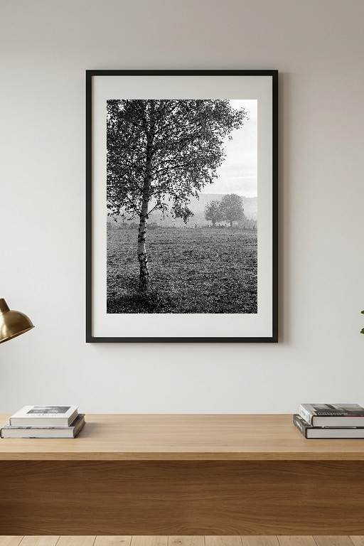 lensible-mockup-acf53524-83ee-4e37-a764-5dfca795f41a.png