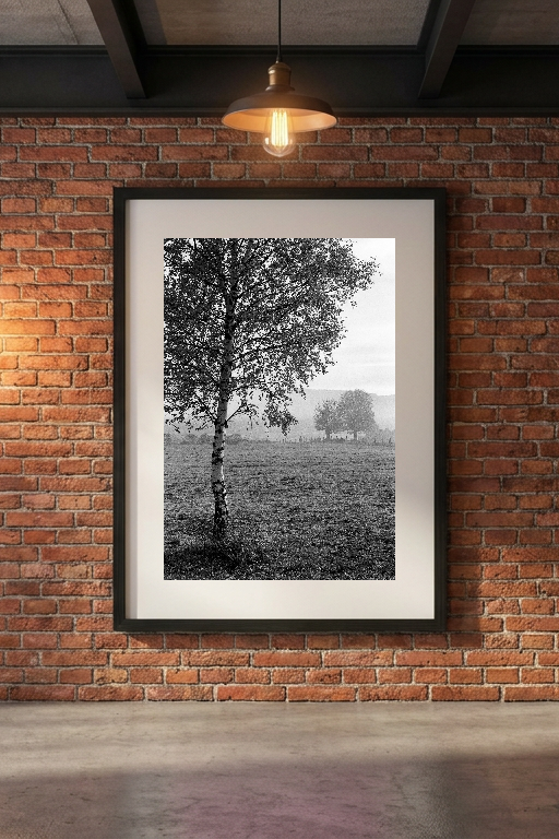 lensible-mockup-ee47f30f-1b1e-4d8a-932c-9ca9bd650793.png