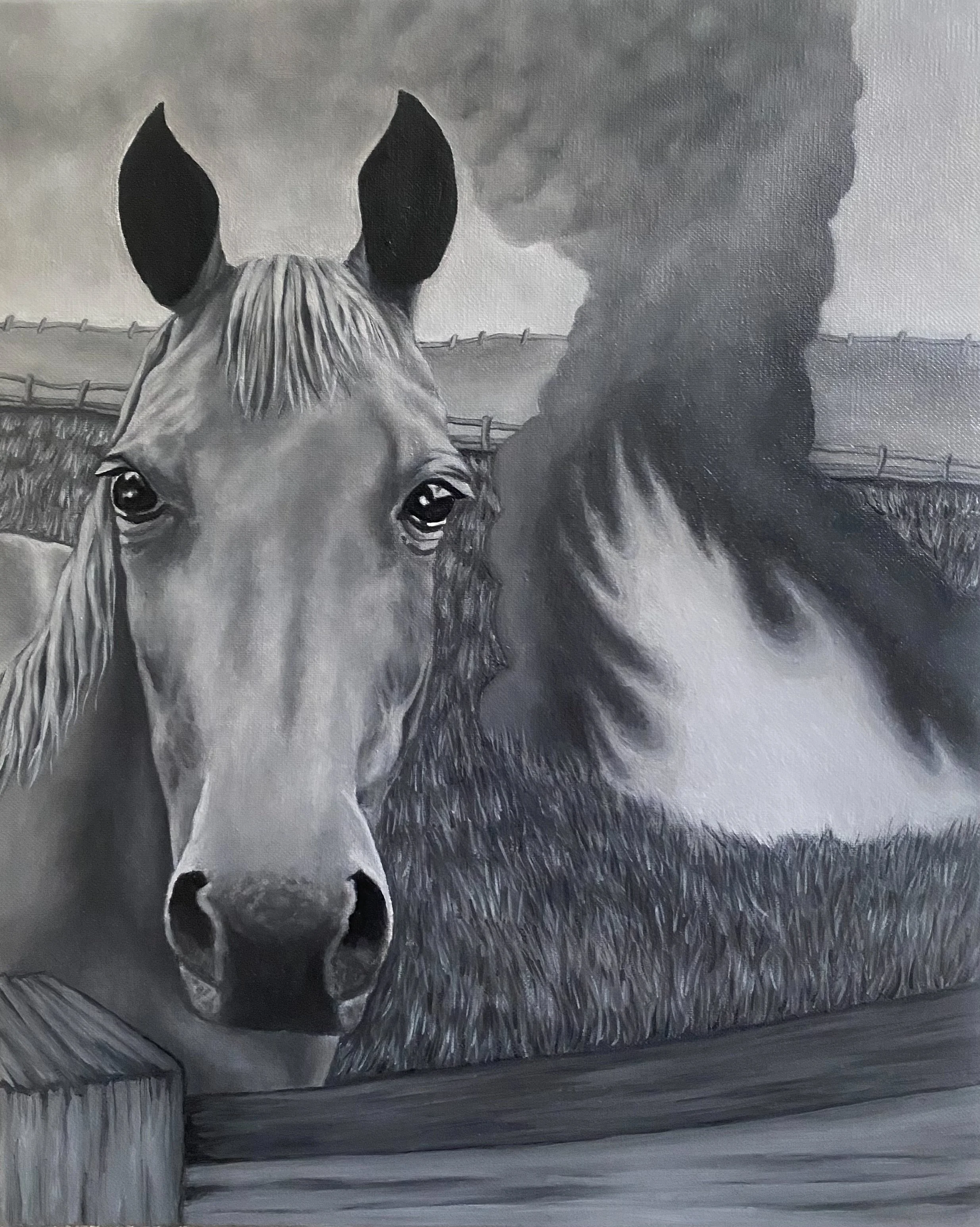 IMG_0374.jpeg