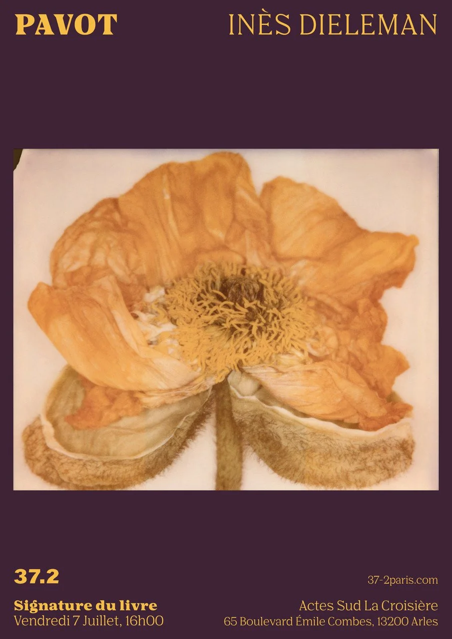 Affiche Pavot Inès Dieleman - Signature Arles 2023