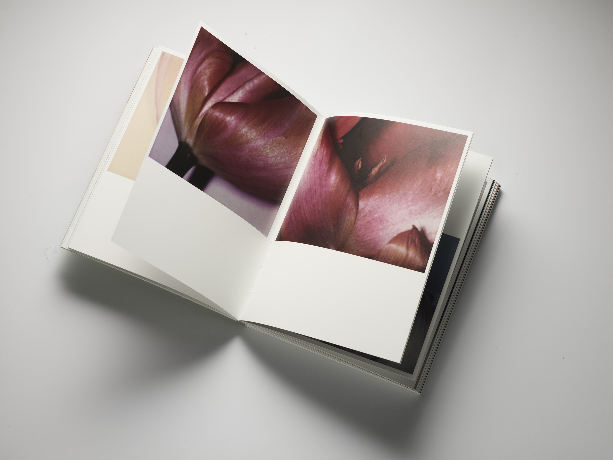 2025_11_14 LIVRE POLAROIDS INES_166.jpg