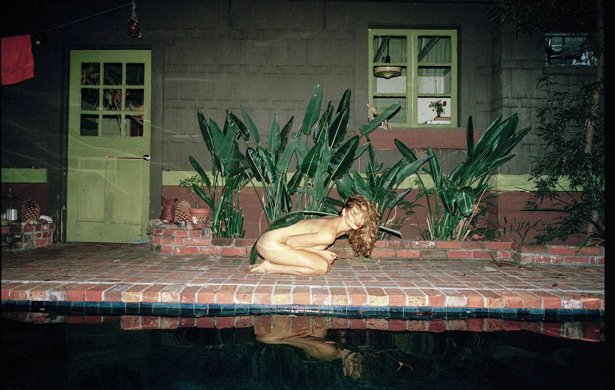 Bird of Paradise (1/2)