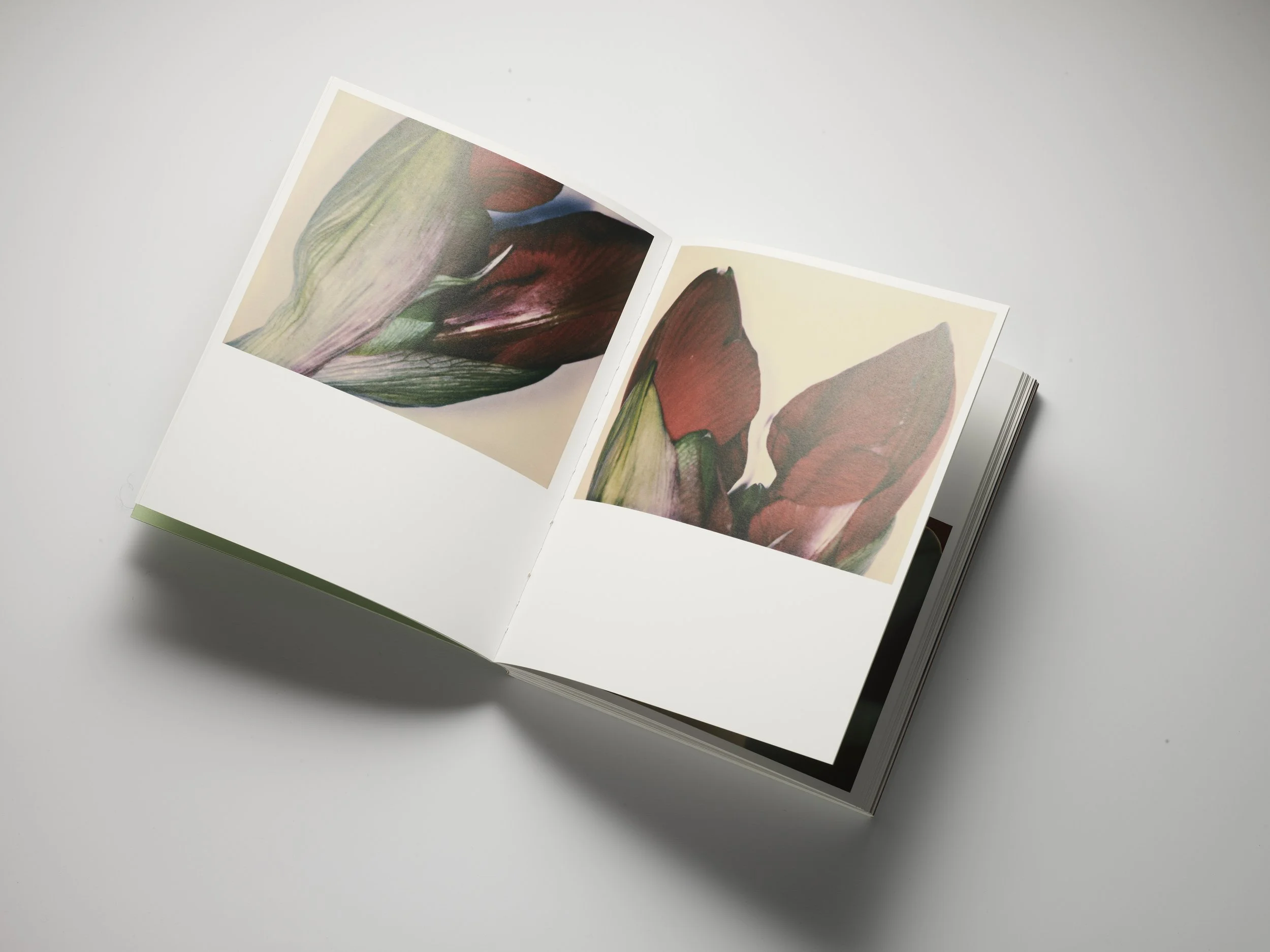 2025_11_14 LIVRE POLAROIDS INES_168.jpg