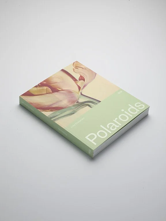 ines dieleman polaroids 37.2 .jpg